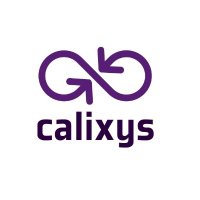 Calixys (@_calixys) 's Twitter Profile