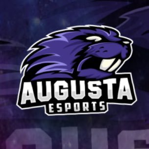 Official Twitter of The Augusta Esports Team! @Augusta_Beavers
