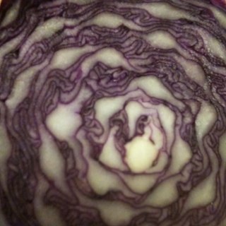 swingsara's profile picture. fulltime CSUMB student, Psychology major, nonprofit business minor applying to grad schools in some form of underpaid social work (MFT or MSW)