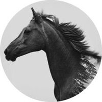 الوافي (@azoz19848) Twitter profile photo