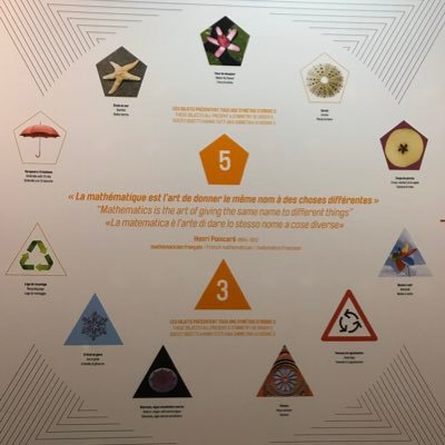 TeixeiraVirgi's profile picture. Professeur de mathématiques