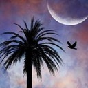 Louis Jackson-Rees - @ILOVEAUDACIOUS - Twitter