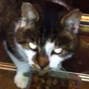 Willow Simpson - @WillowSimpson - Twitter