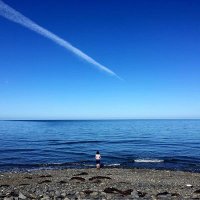 Kate Woodward (@cetyn) 's Twitter Profile