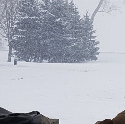 SJMitchell1979's profile picture. 