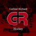 GR Pioneers Hockey (@GRPioneersGoal) Twitter profile photo