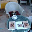 Tony Adler - @LeLevatine - Twitter