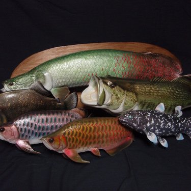 fish craft REAL (@gladiator12827) / X fish craft REAL (@gladiator12827) / X