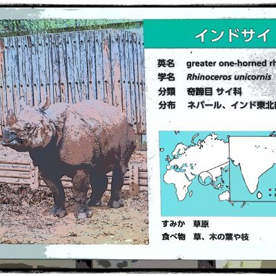 アニメ動物美術館 Animalmuseum Twitter アニメ動物美術館 Animalmuseum Twitter