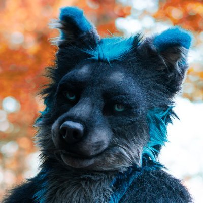 Black and blue, just like you | i rawrs and snuggs | am good wuff, sometimes bad (especially after 10pm) 😉 ⚠️18+⚠️, @mixedcandy family