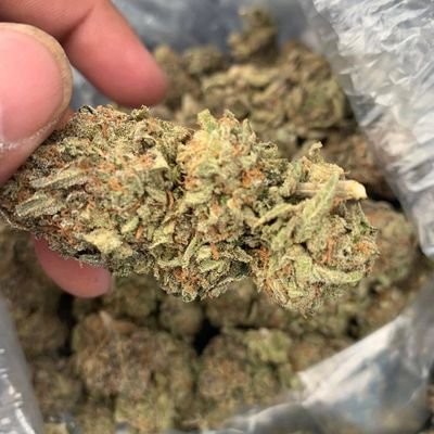 cannabis lover and vendor down in CA
1000 per lbs
pick up and also deliveries ASAP
no capp