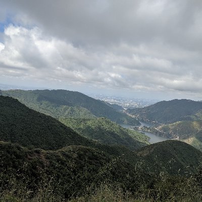 rampageai's profile picture. 