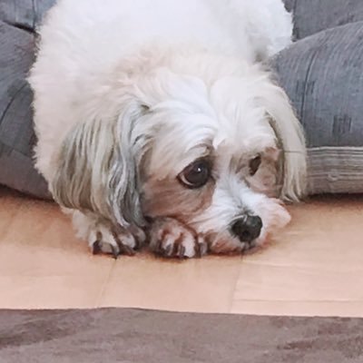 ふたさんのプロフィール画像