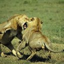 Barrett Ernest - @Barrett1Ernest - Twitter