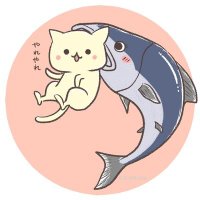 あーちゃん('-' 鮭)з〜(@aachan_salmon) 's Twitter Profile Photo