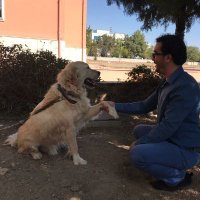 Abdullah Sinan (@abdullahsinan) 's Twitter Profile