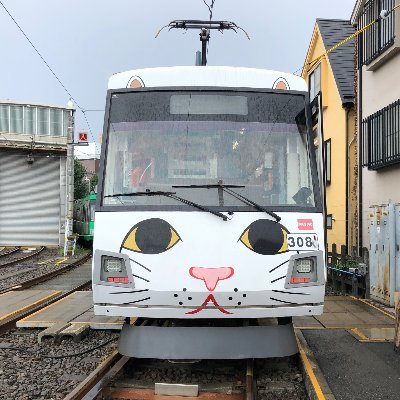 東急世田谷線50周年の公式アカウントです。復活した招き猫電車や50周年記念イベント情報、沿線の情報を発信していきます。＃世田谷線 ＃招き猫電車