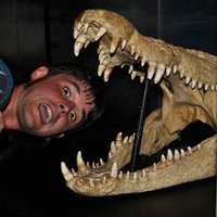 Eduardo Puértolas (@eduardosuchus) 's Twitter Profile