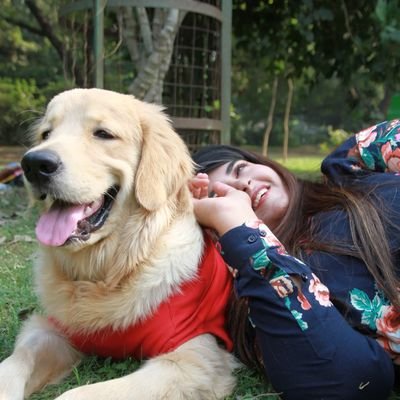 stillnolak's profile picture. Artist