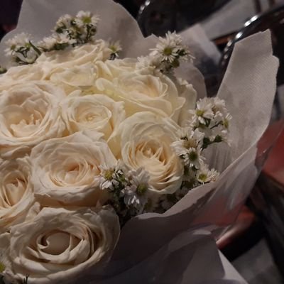 ViviViolitaIS's profile picture. So the stories are changing....