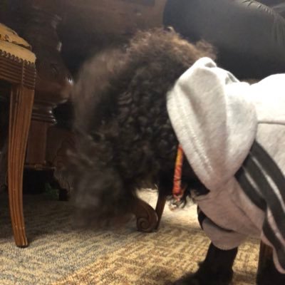 yipk62fAkJuqqAq's profile picture. 