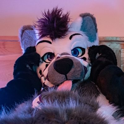 I'm Furry trash and love it! 
M | 33 | Taken | 
Fursuits: Shiinsuh - Bat, Milo - Hyena  
Made by @bluefoxfursuits