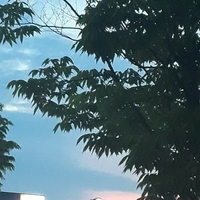 공부 인증, 방법 , 일상 /멘션이나 DM은 대환영(확인하는대로 답해드려요) / 정치외교학과 or 소프트웨어 학과 or 경영학과/17살 고1