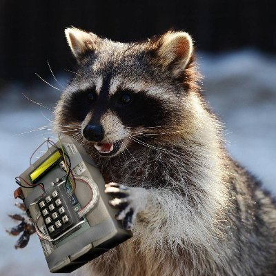 Cyber Security Nerd
Love everything that has to do with IT
Professional raccoon keeper