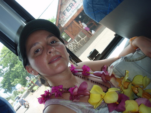 Proyectosol's profile picture. 