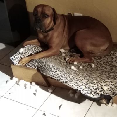 PoyetBastien's profile picture. 2