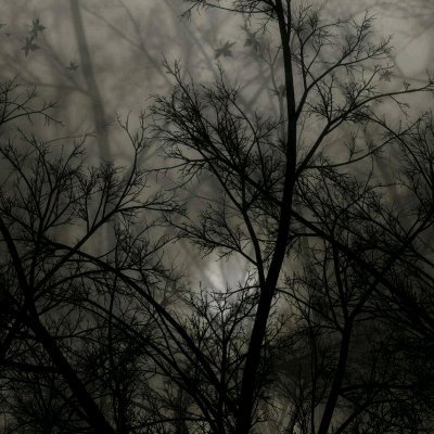 amanonymous578's profile picture. 