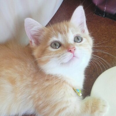たかこ