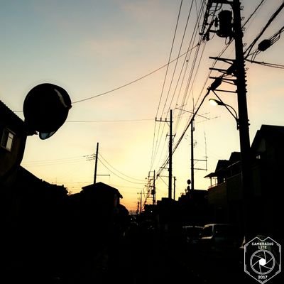 picturebook_6's profile picture. 絵を描く
写真を撮る