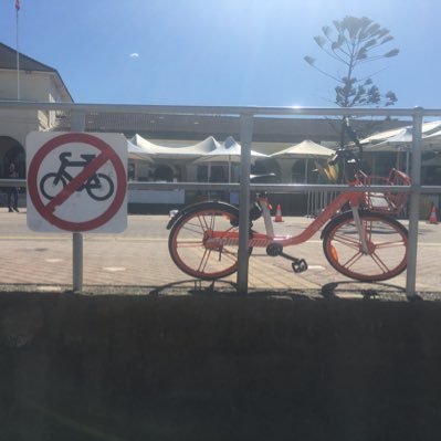 pacotaa's profile picture. 