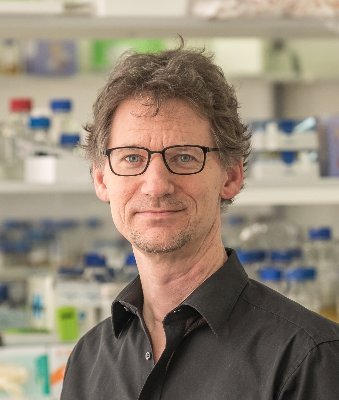 Professor of Cell Biology, Institute of Cell Dynamics and Imaging @WWU_Muenster | #cellcortex, #membranes, #actin, #Lifeact | acting president of the @DGZ_info;