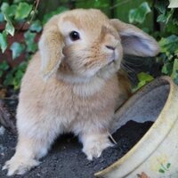 Wal (@callmewal) 's Twitter Profile Photo