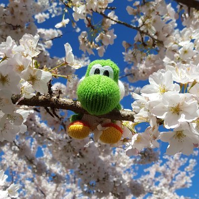 Lazkapさんのプロフィール画像