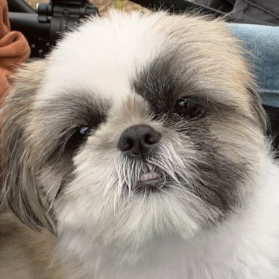 JJ1VHH@千葉県木更津市。無線用アカウントです。たまに畑
+1エリアC4FMロールコールキー局 毎月第4日曜日11時より+
2010年開局 2019/11より現コールサイン変更。 430メインに各バンドFM/C4FM/FT8中心に運用。ex.JE6HMU
本業は情シスと総務と個人事業主の30代BAKAMONO