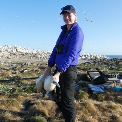 PhD student at @HWU_EGIS investigating the impact of storms on seabirds 🌊🌪️🐧