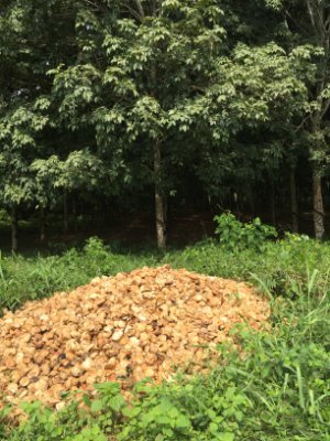 Dago60179897's profile picture. Au champs