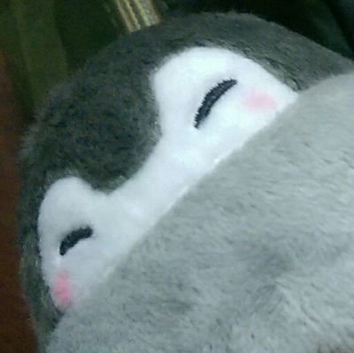 くるくるハクサイ🐋さんのプロフィール画像