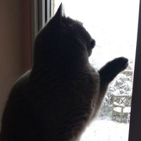 Missbookmark (@pashkarose) 's Twitter Profile Photo