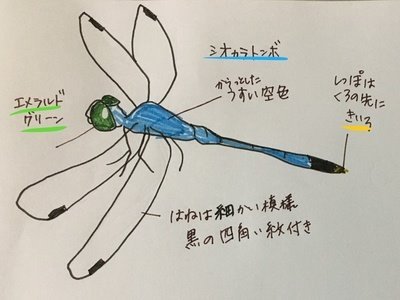 シュプリッターゼルプスト／週報シュプリッターエコー／または単なる「私」の日記／のあまり深く考えずに作ったツイッターアカウント
本家シュプリッターエコー ⇒ https://t.co/tSAvXECCjA