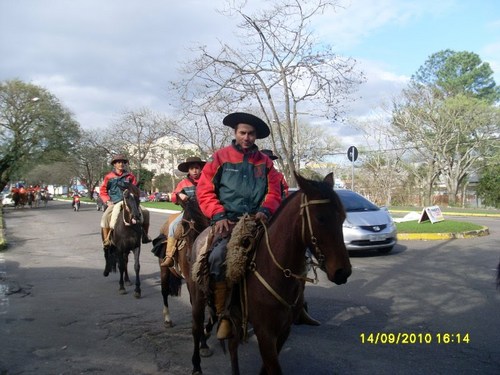 gaucho e coloradoo