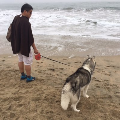 BrianKim24's profile picture. Decentralized Everything