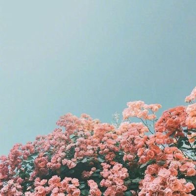 _solacontigo's profile picture. explaining what you feel always help