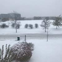 Neal Shivay (@sursedur1) 's Twitter Profile