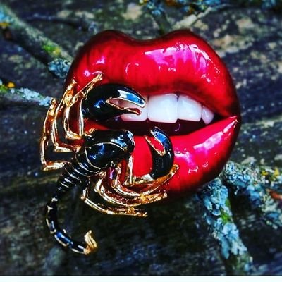 SS80405366's profile picture. Tidak Repot Memang