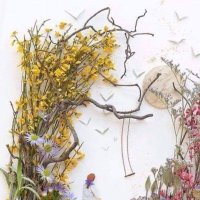 ﮼شهلاء (@shahlaa___1) 's Twitter Profile