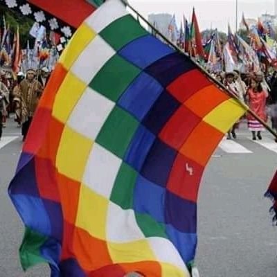 Micky05Micky's profile picture. La libertad.